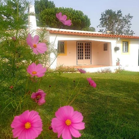 Sondela Self Catering Βίλα Sao Martinho do Porto Εξωτερικό φωτογραφία