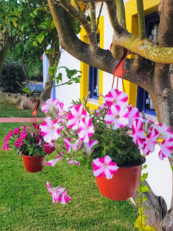 Sondela Self Catering Βίλα Sao Martinho do Porto Εξωτερικό φωτογραφία