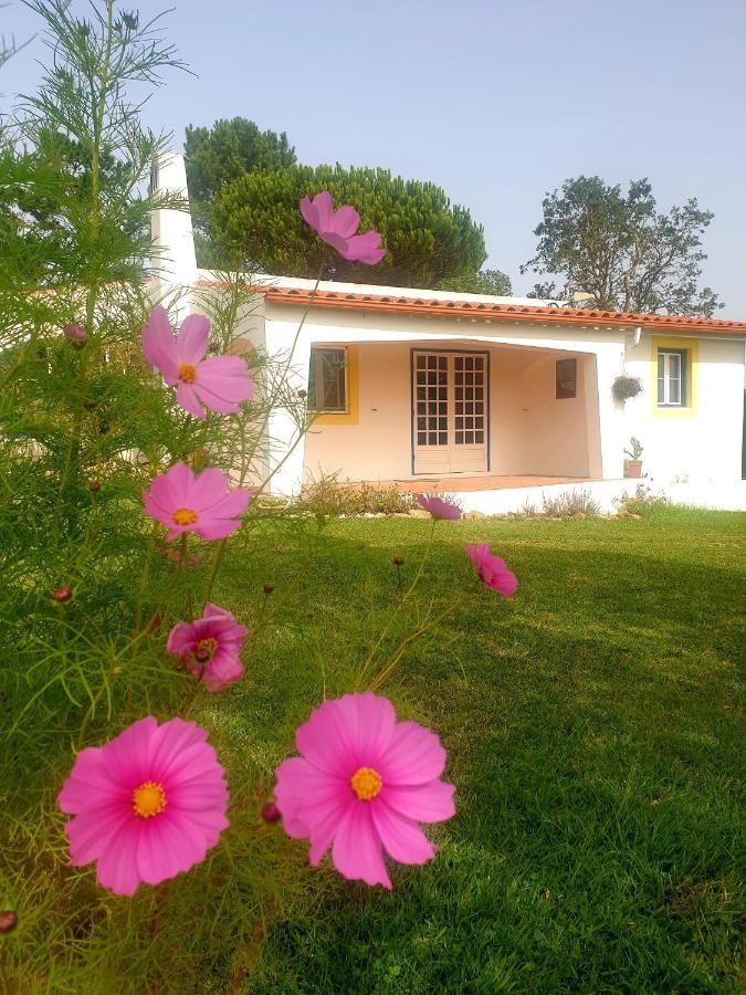 Sondela Self Catering Βίλα Sao Martinho do Porto Εξωτερικό φωτογραφία