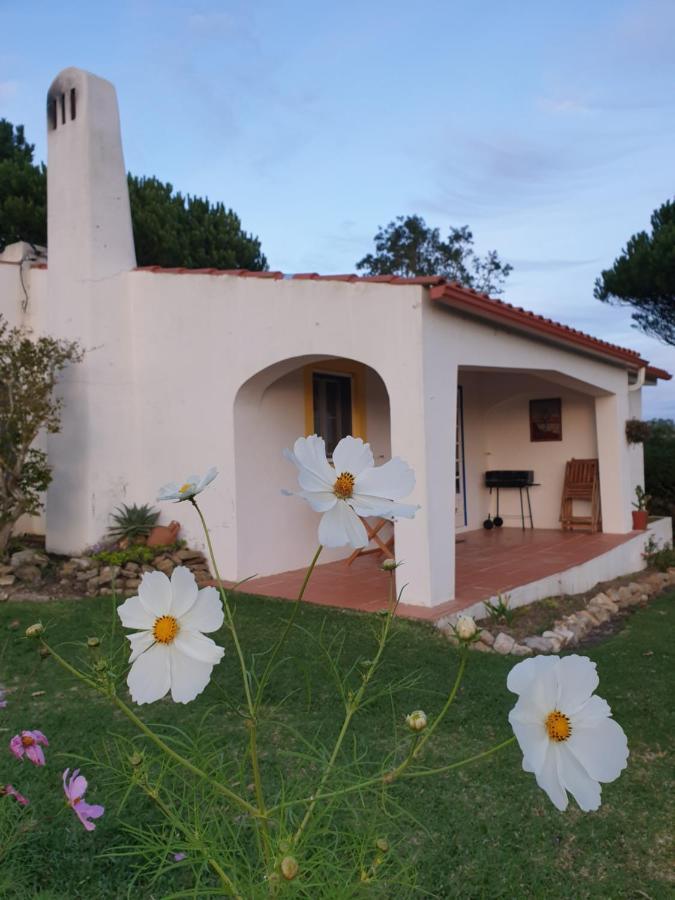 Sondela Self Catering Βίλα Sao Martinho do Porto Εξωτερικό φωτογραφία