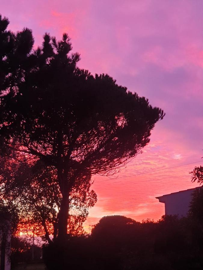 Sondela Self Catering Βίλα Sao Martinho do Porto Εξωτερικό φωτογραφία