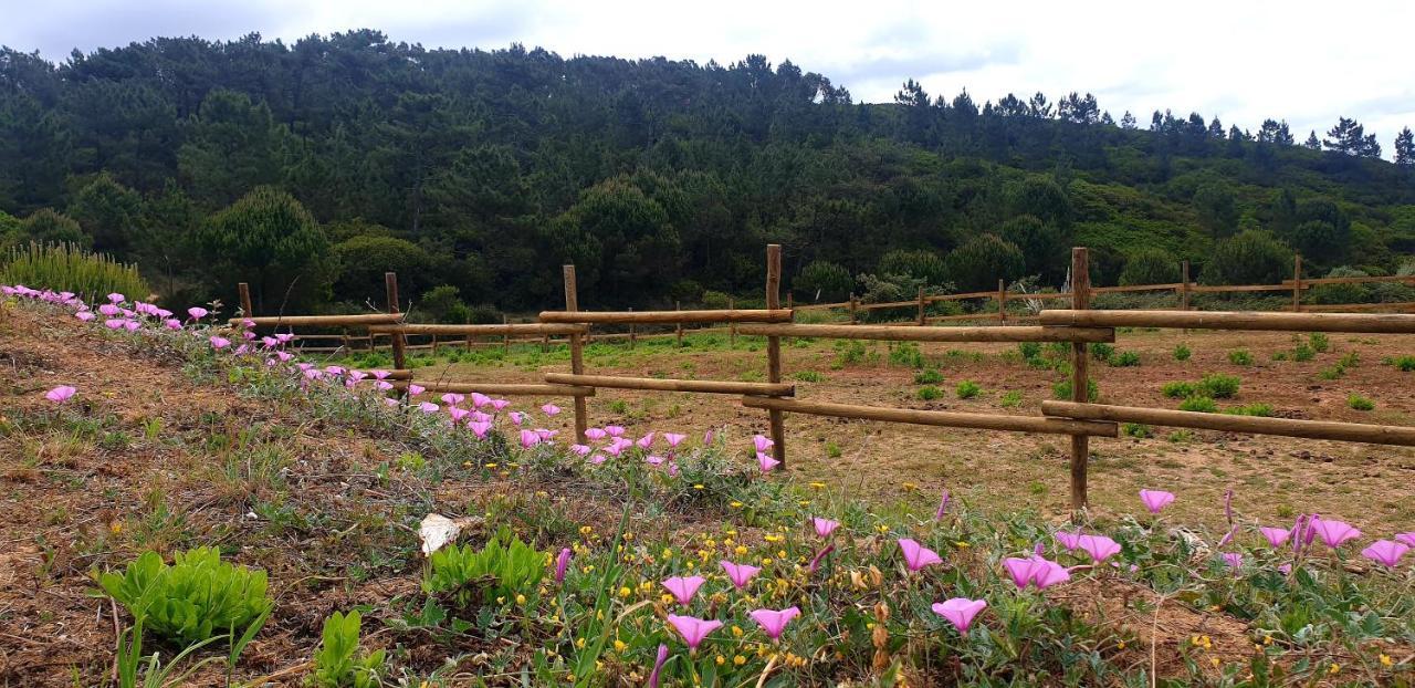 Sondela Self Catering Βίλα Sao Martinho do Porto Εξωτερικό φωτογραφία