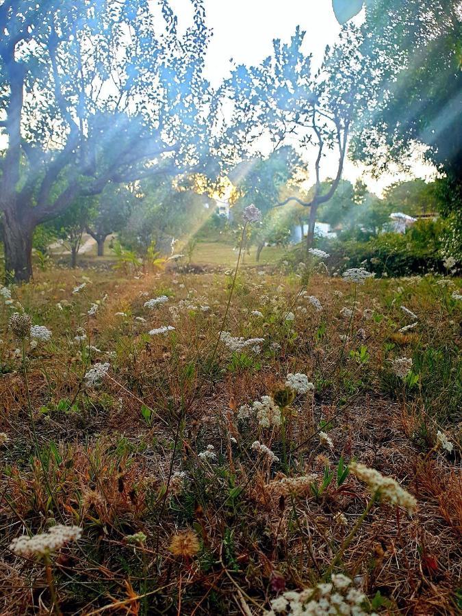 Sondela Self Catering Βίλα Sao Martinho do Porto Εξωτερικό φωτογραφία