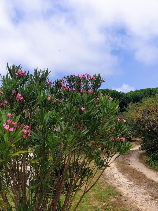 Sondela Self Catering Βίλα Sao Martinho do Porto Εξωτερικό φωτογραφία