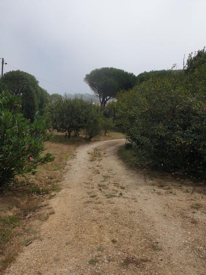 Sondela Self Catering Βίλα Sao Martinho do Porto Εξωτερικό φωτογραφία