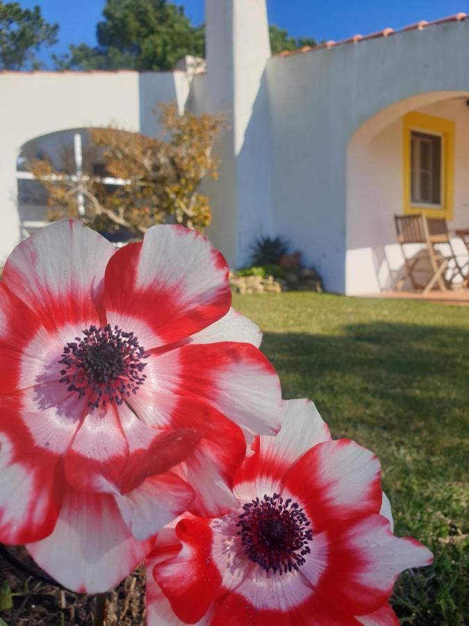 Sondela Self Catering Βίλα Sao Martinho do Porto Εξωτερικό φωτογραφία