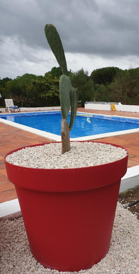Sondela Self Catering Βίλα Sao Martinho do Porto Εξωτερικό φωτογραφία